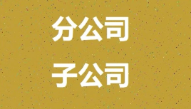 办理注销分公司需要备齐哪些资料